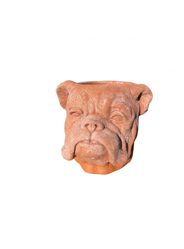 Vaso Bulldog