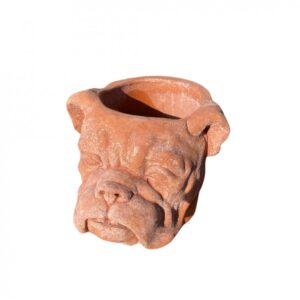 Vaso Bulldog