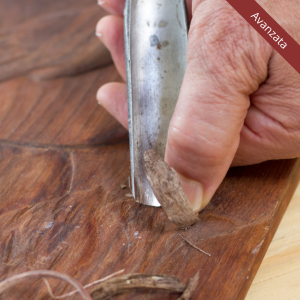 Promo Visibilità Avanzata