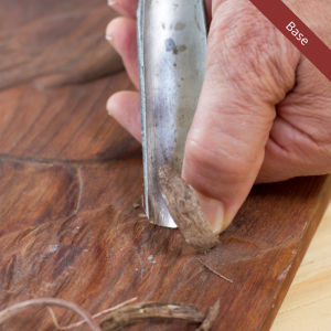 Promo Visibilità Base