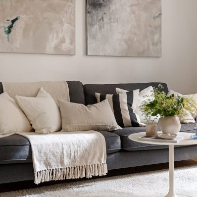 23555986-living-room-8501757